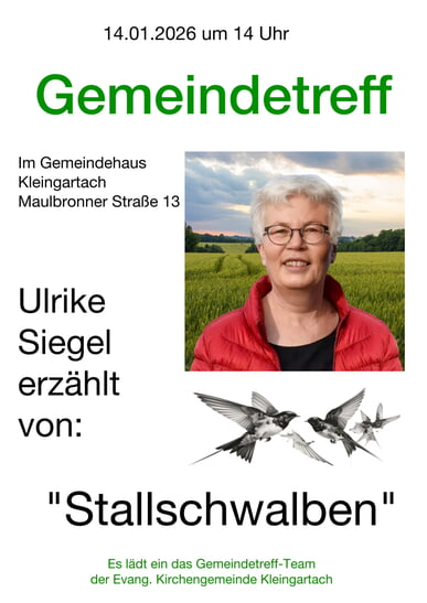 Gemeindetreff_Stallschwalben